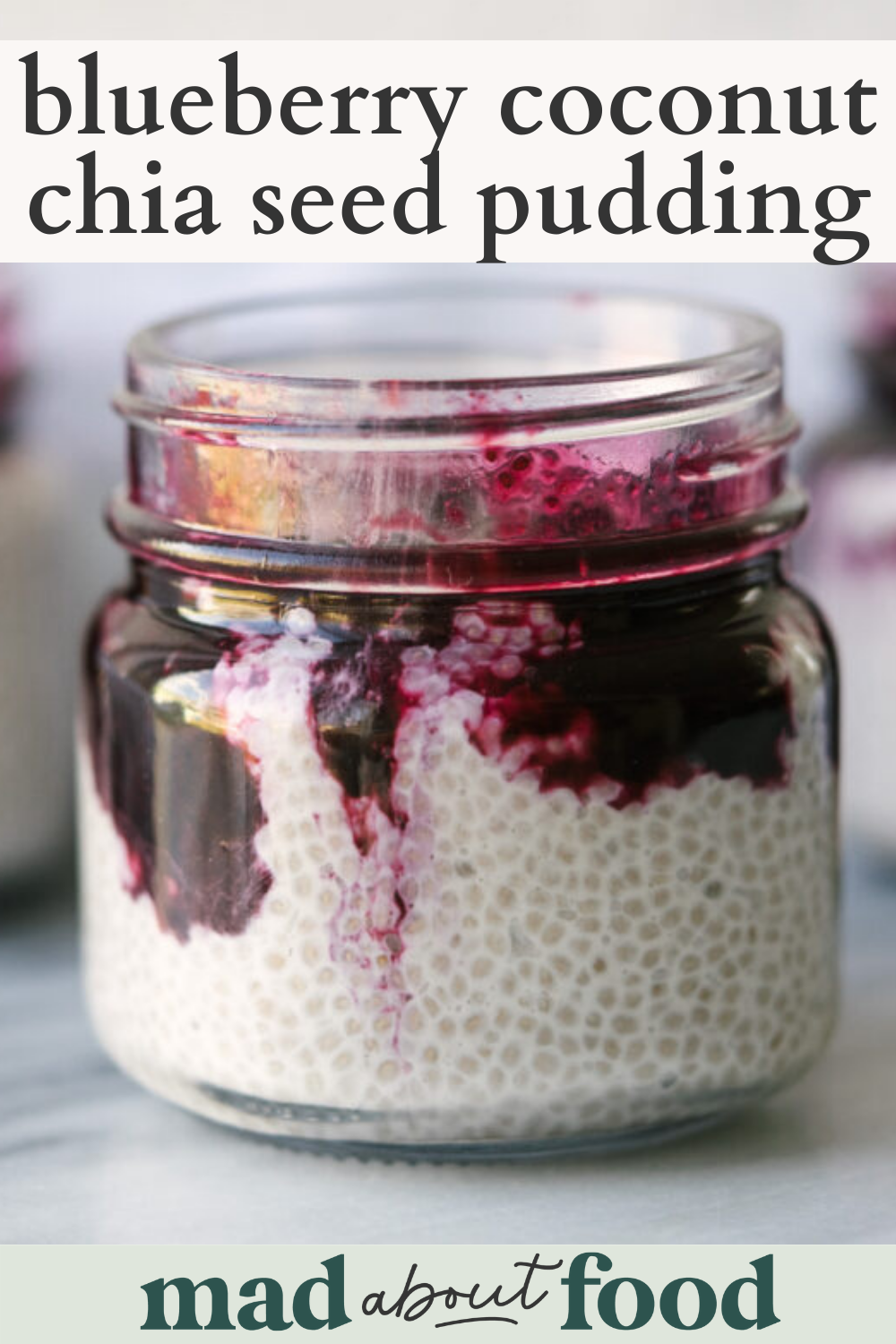 Image for pinning Blueberry coconut chia seed pudding recipe on pinterest