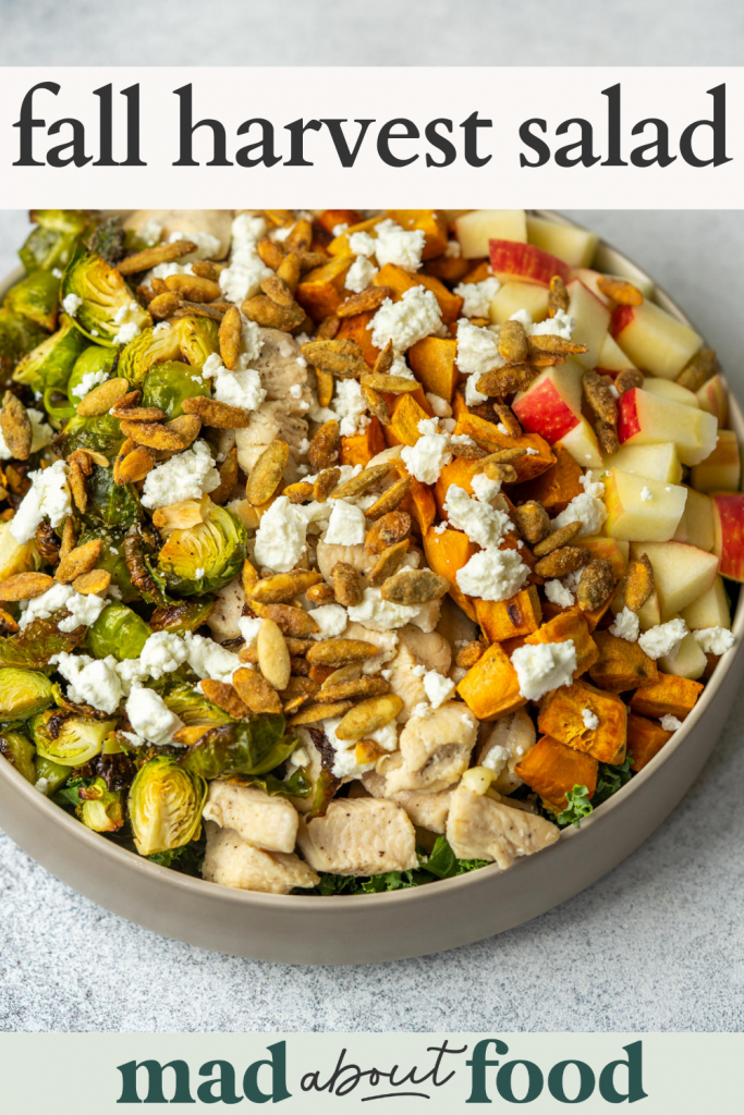 Image for pinning fall harvest salad recipe on Pinterest