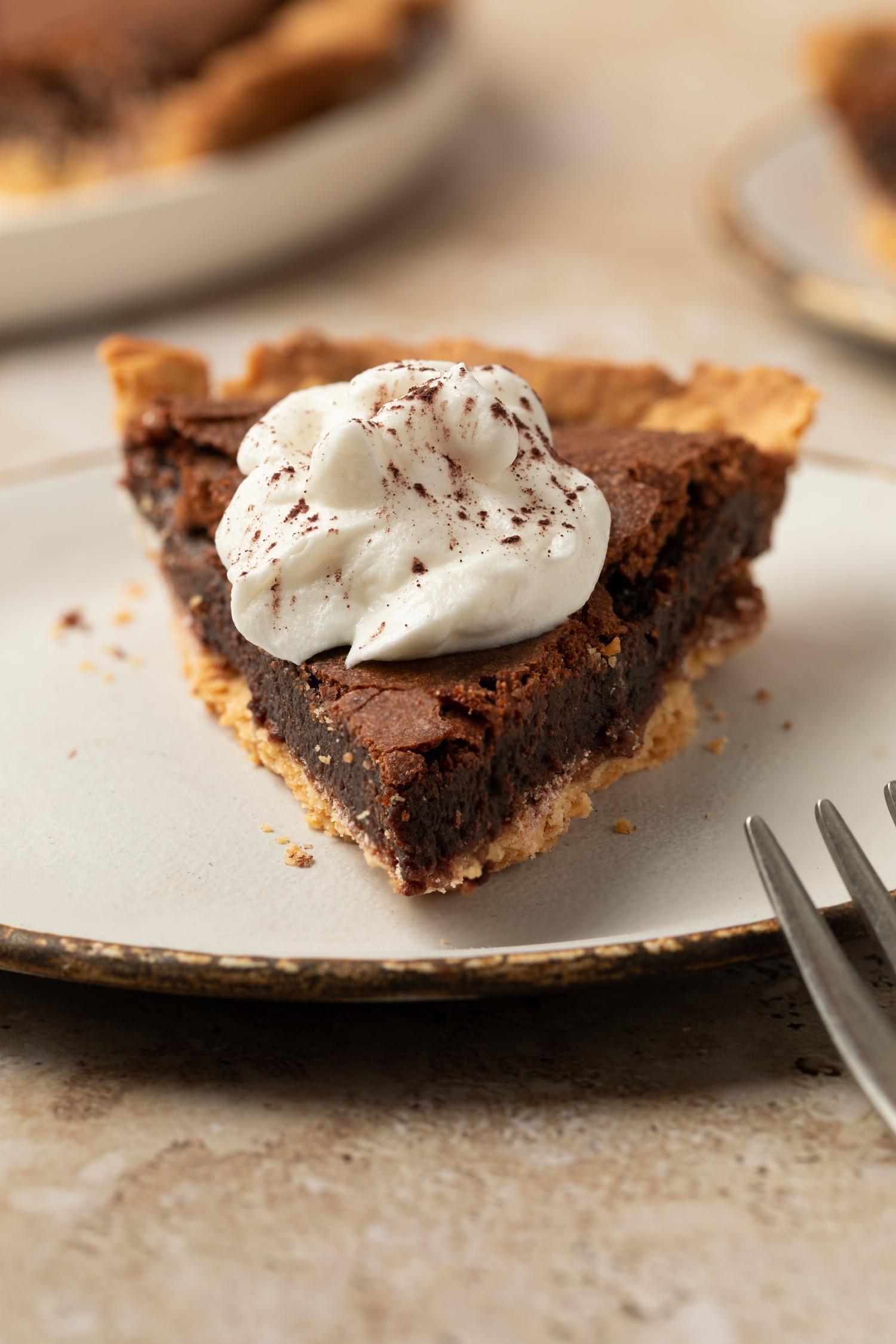 Three quarter view of a slice of chocolate chess pie with whipped cream on top
