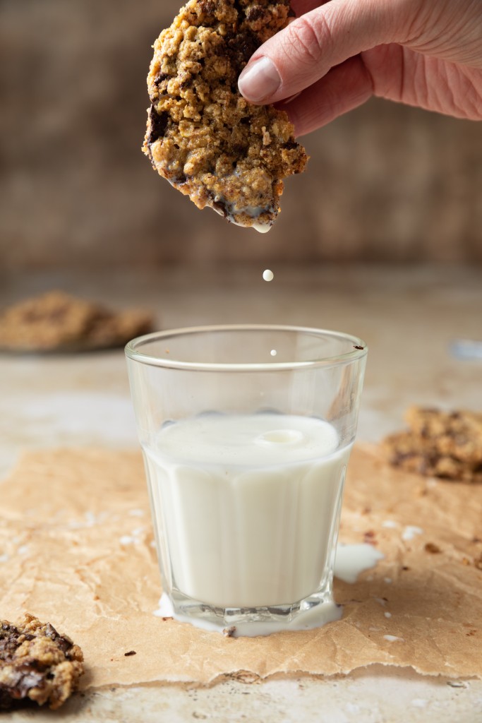 Side view of an oatmeal chocolate chip cookie dipping into a glass of milk