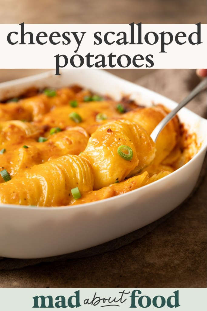 Image for pinning cheesy scalloped potatoes recipe on Pinterst