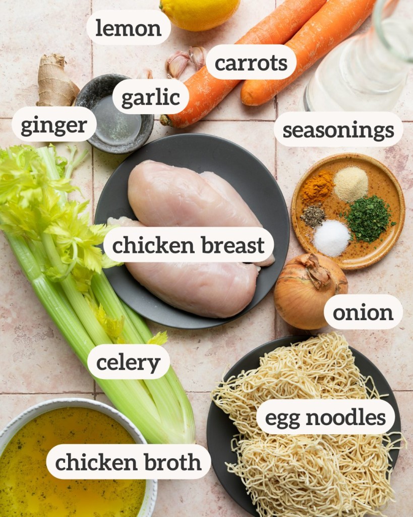 Above view of ingredients for chicken noodle soup for a cold