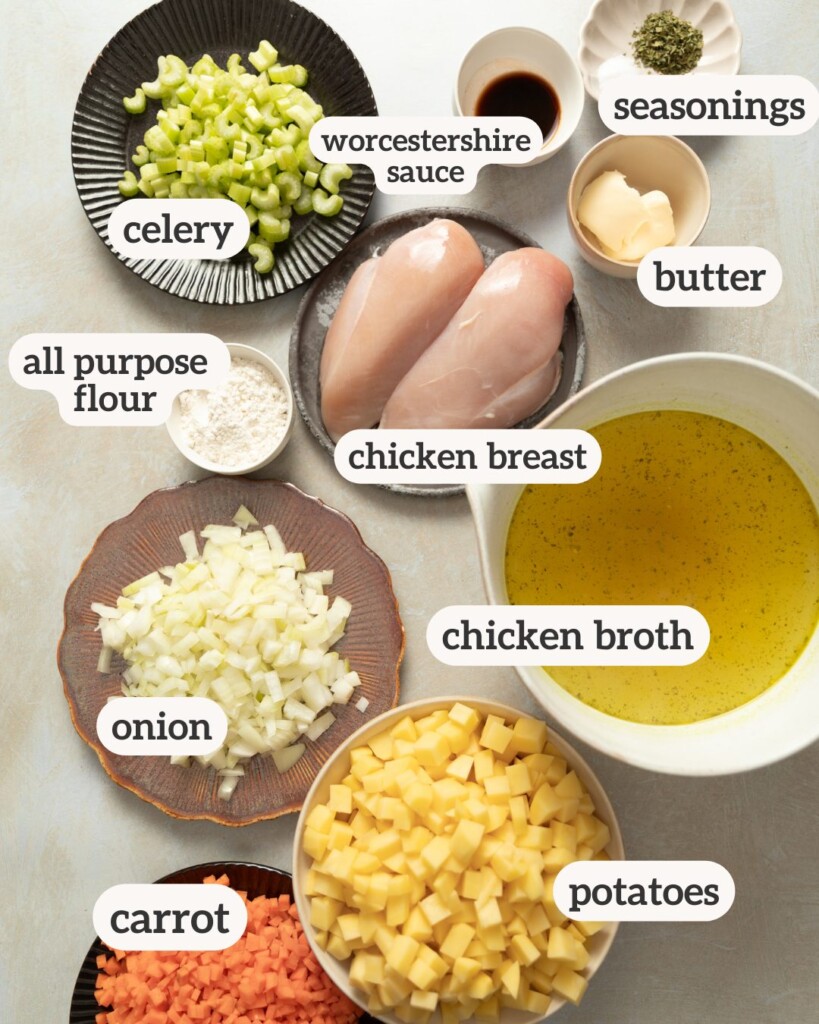 an above image of all ingredients for the chicken stew with labels on them