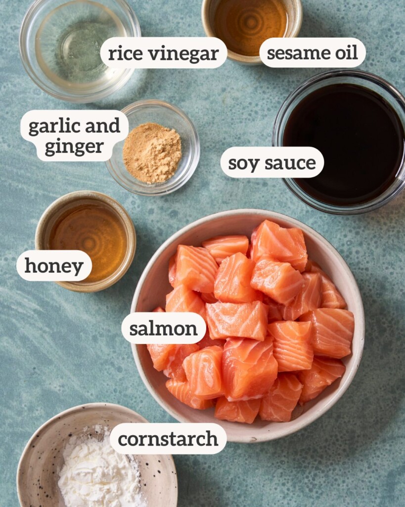 an above view photo of the ingredients for air fryer salmon bites with labels on them
