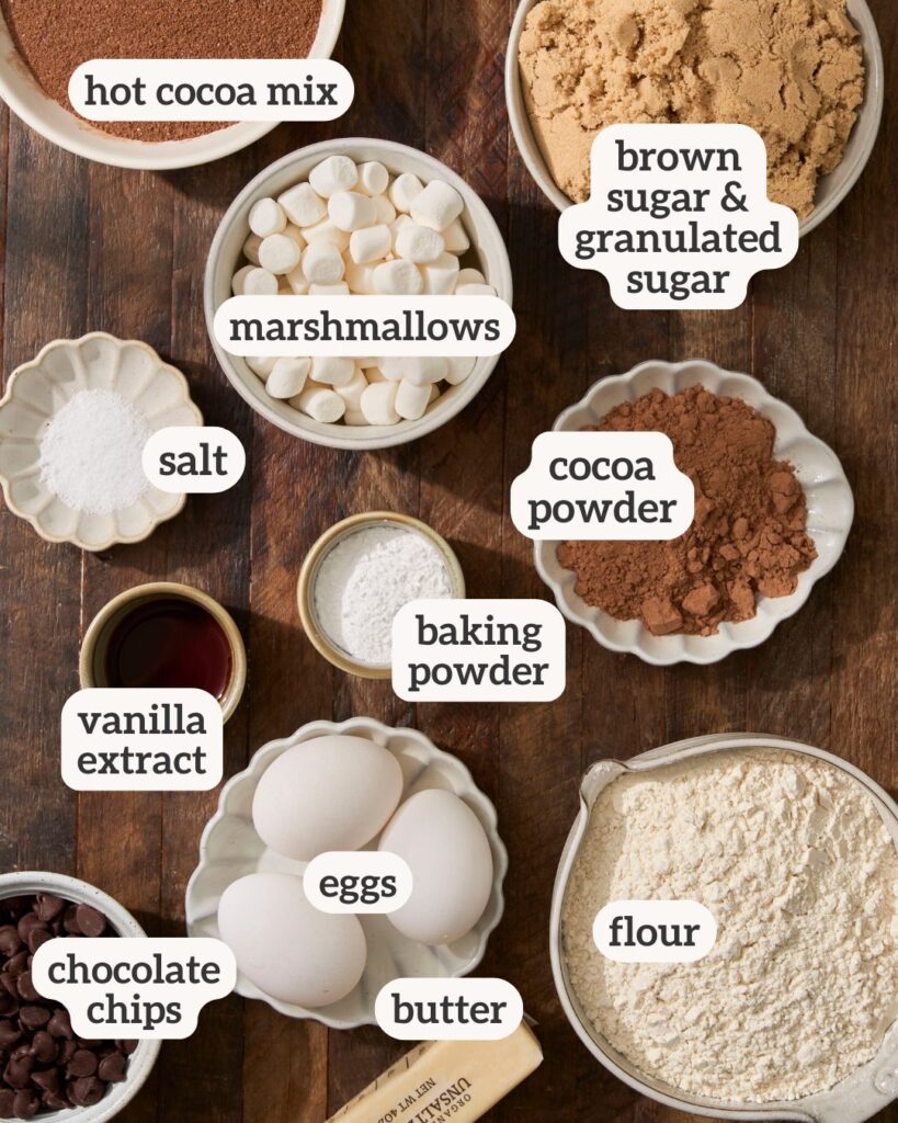 Hot Cocoa Cookies Recipe (Like Hot Chocolate You Can Eat!)