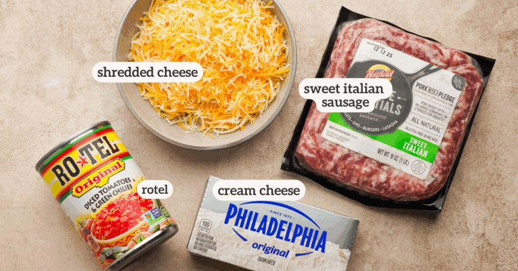 Ingredients for an easy sausage rotel dip with labels on each ingredient