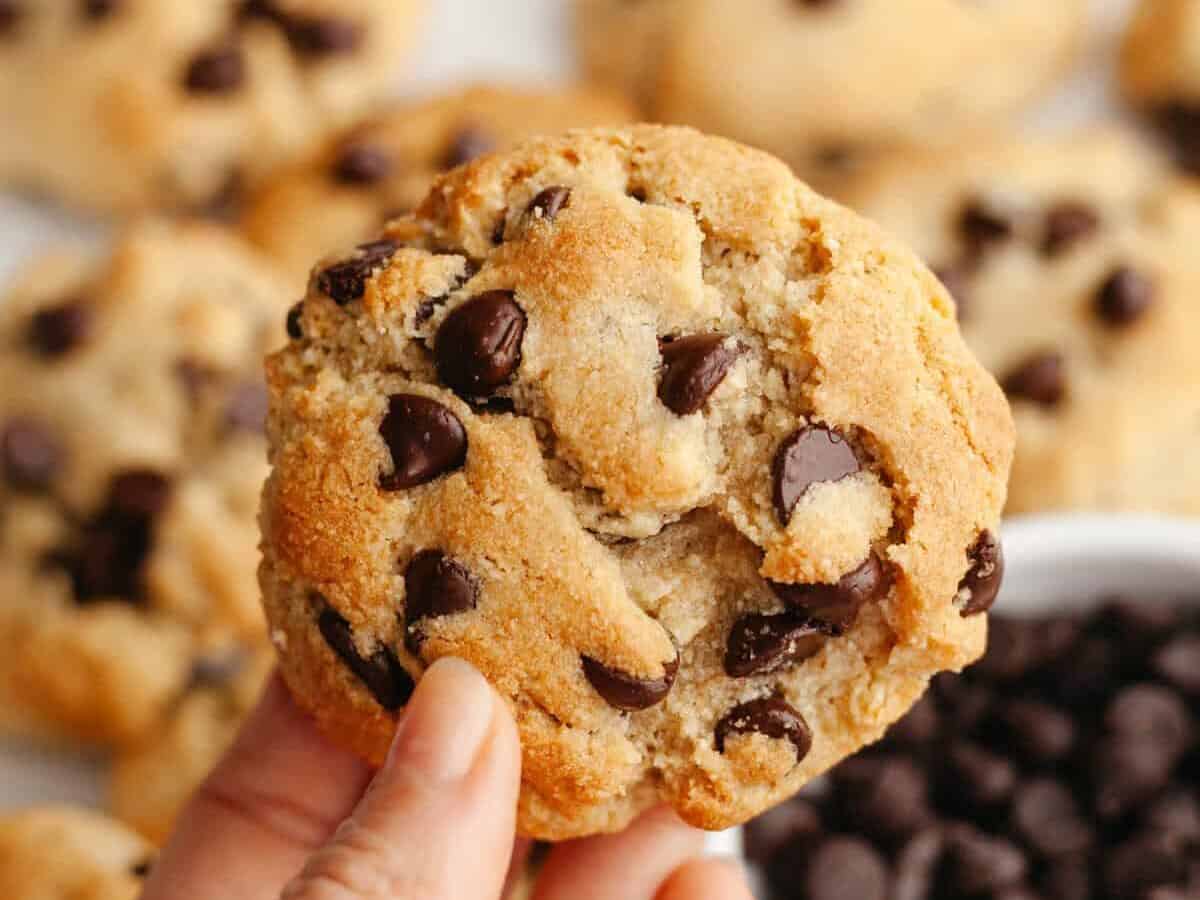 a hand holding a grain free chewy chocolate chip cookie above more cookies